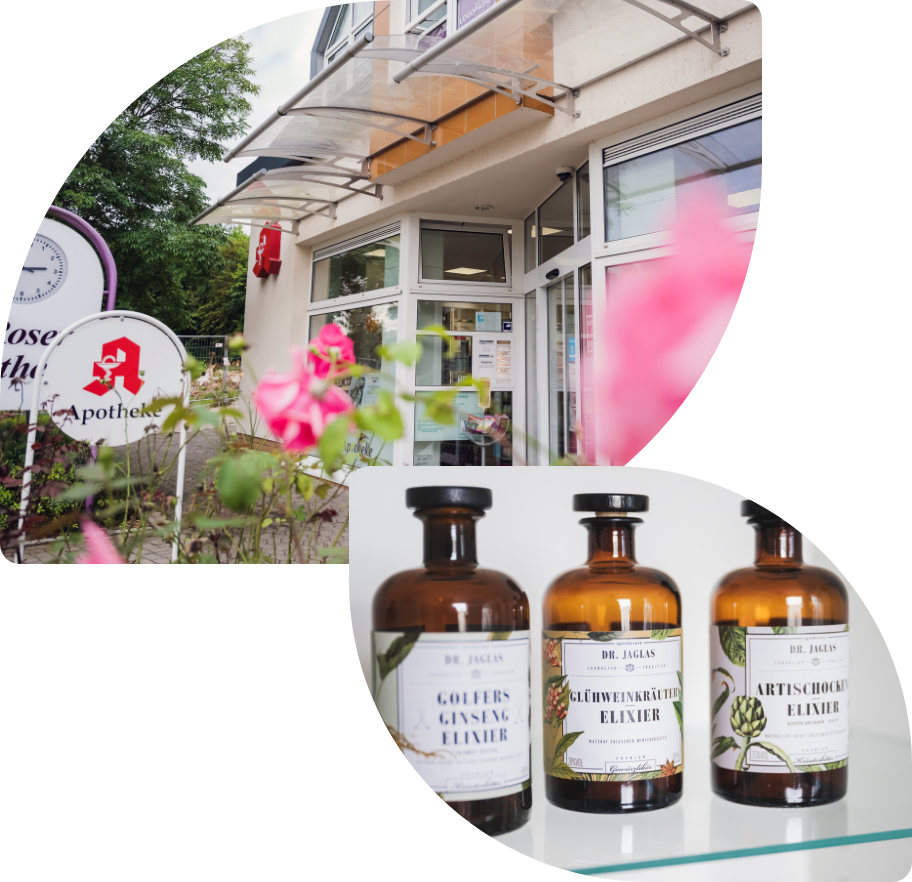 Zeigt ein Bild von einem Pony und ein Bild von einer blühenden Rose